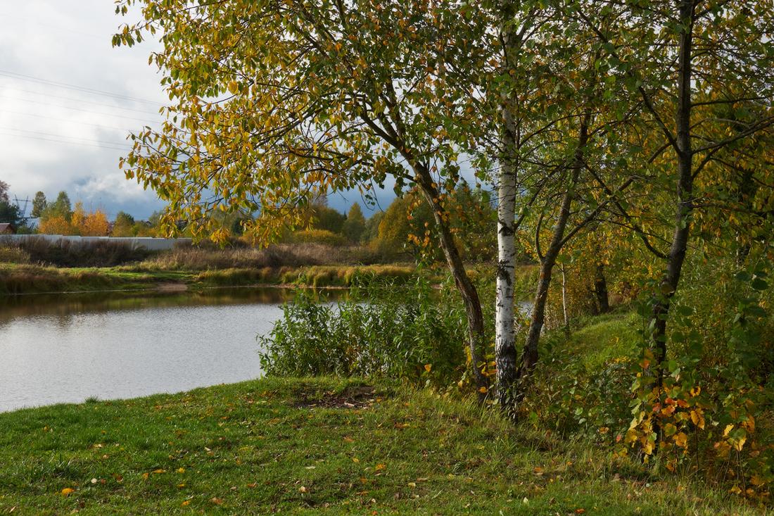 Эта примета 26 октября сулила суровую, морозную зиму