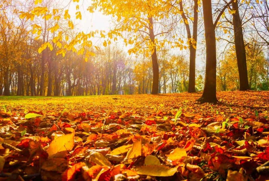 Эта примета 7 ноября указывает на долгую зиму