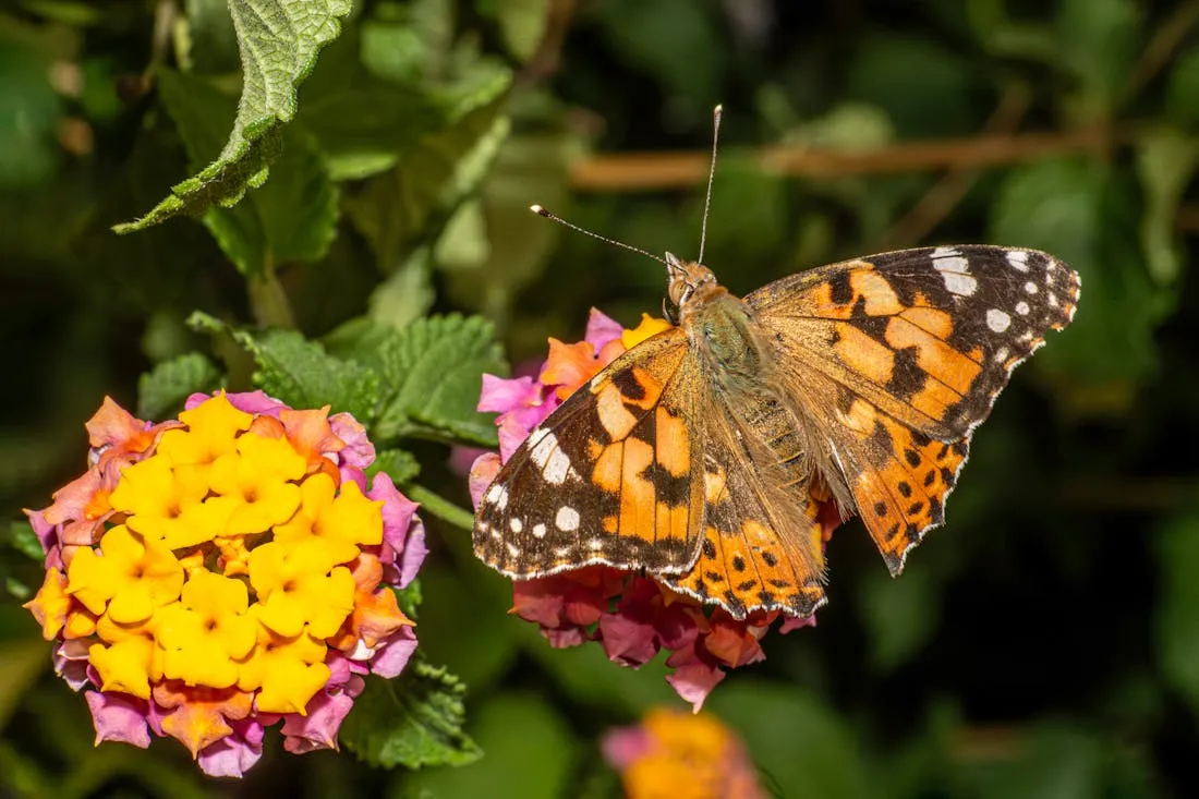 Гром и молнии разразятся сегодня ночью. О погоде на Гродненщине 23-25 июля