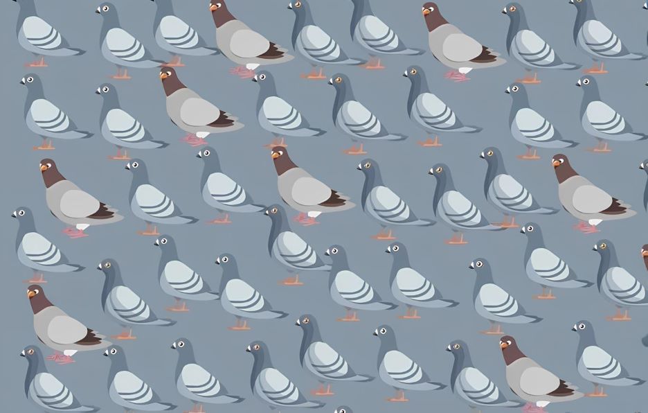 Сможете ли вы найти кошку среди голубей за 12 секунд?