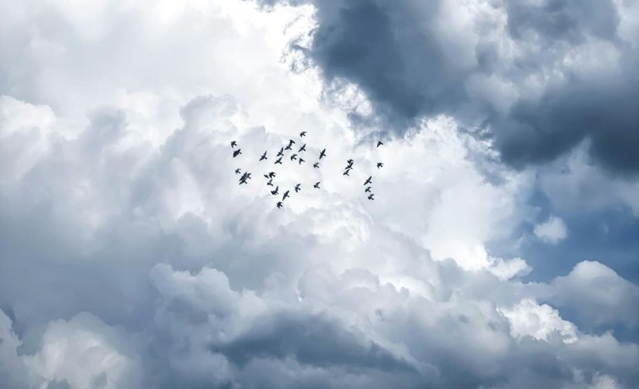 Из-за сильных дождей на Гродненщине объявлен оранжевый уровень опасности