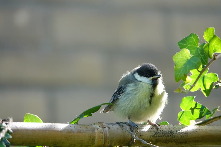 К Гродненщине приближаются грозы. О погоде на 27-29 мая
