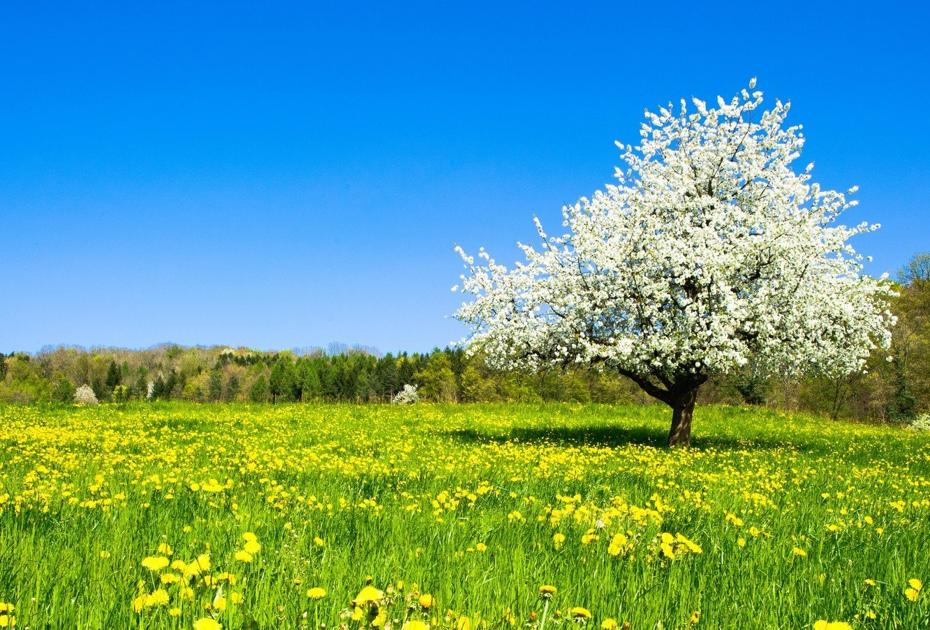 Как правильно провести 3 мая, чтобы получить благословение предков?