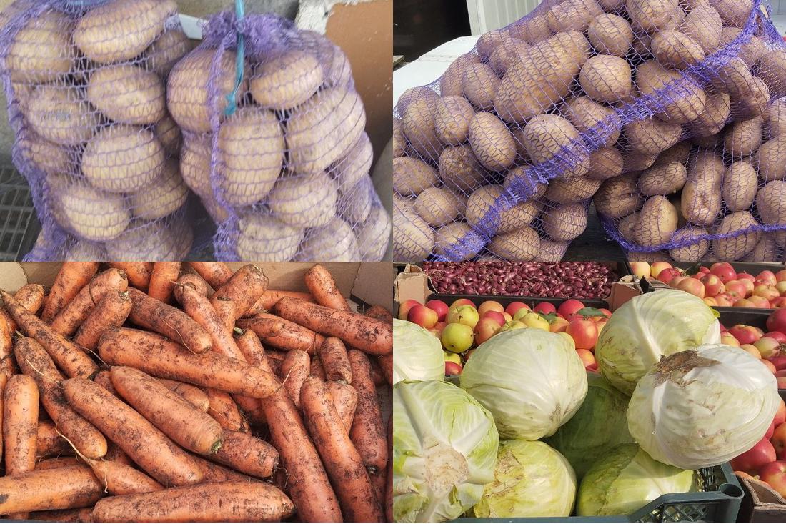 Каким будет урожай картофеля и овощей в 2025 году: прогноз Минсельхозпрода