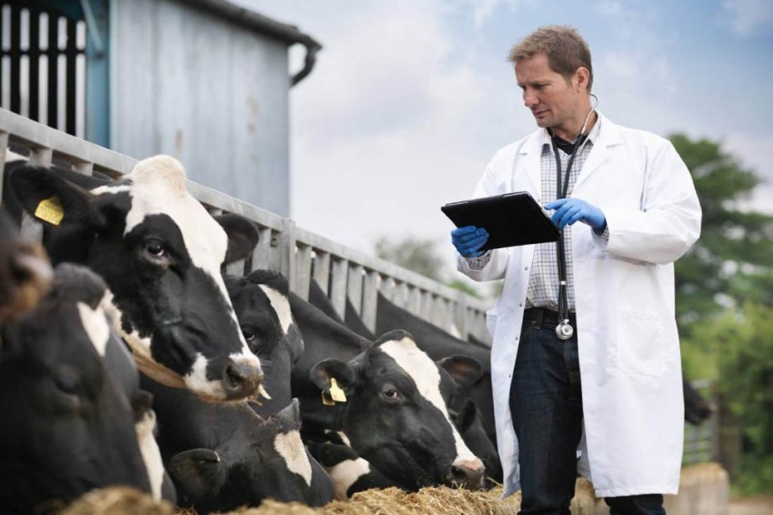 Каким специалистам в Беларуси установили доплаты до 409 рублей