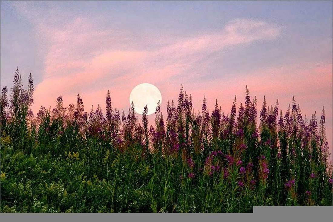 Когда в августе нельзя начинать важные дела, а когда стоит, рассказали астрологи