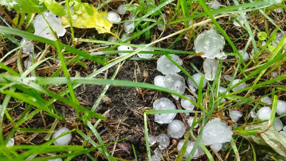 Крупный град обрушился на Слоним