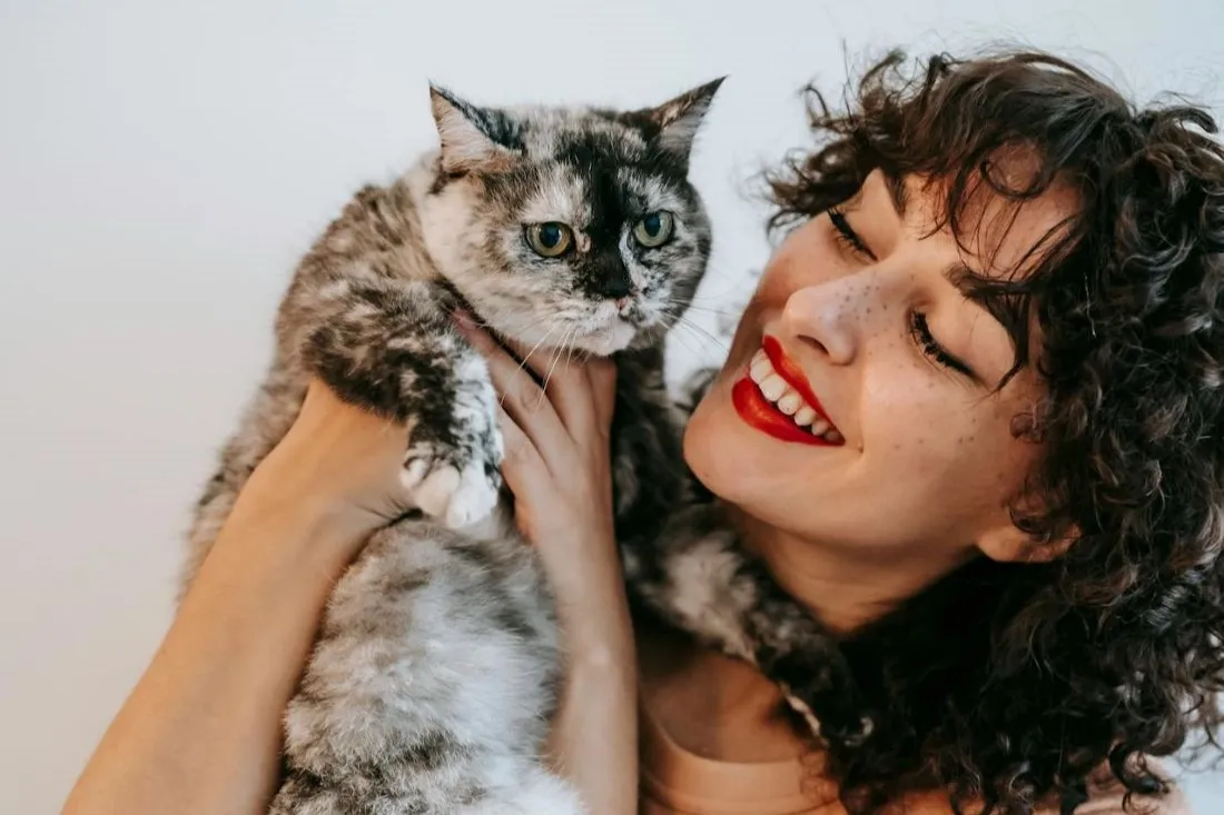 Кто на самом деле счастливее — владельцы собак или кошек? Ответ вас удивит