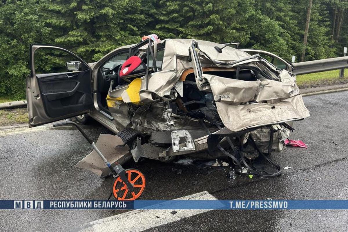 Минчанину, устроившему смертельное ДТП на трассе М2, вынесли приговор