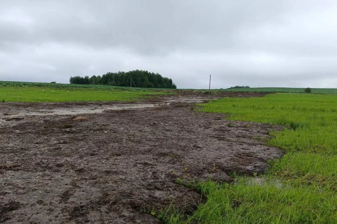 Минприроды зафиксировало гибель рыбы в Гродненской области
