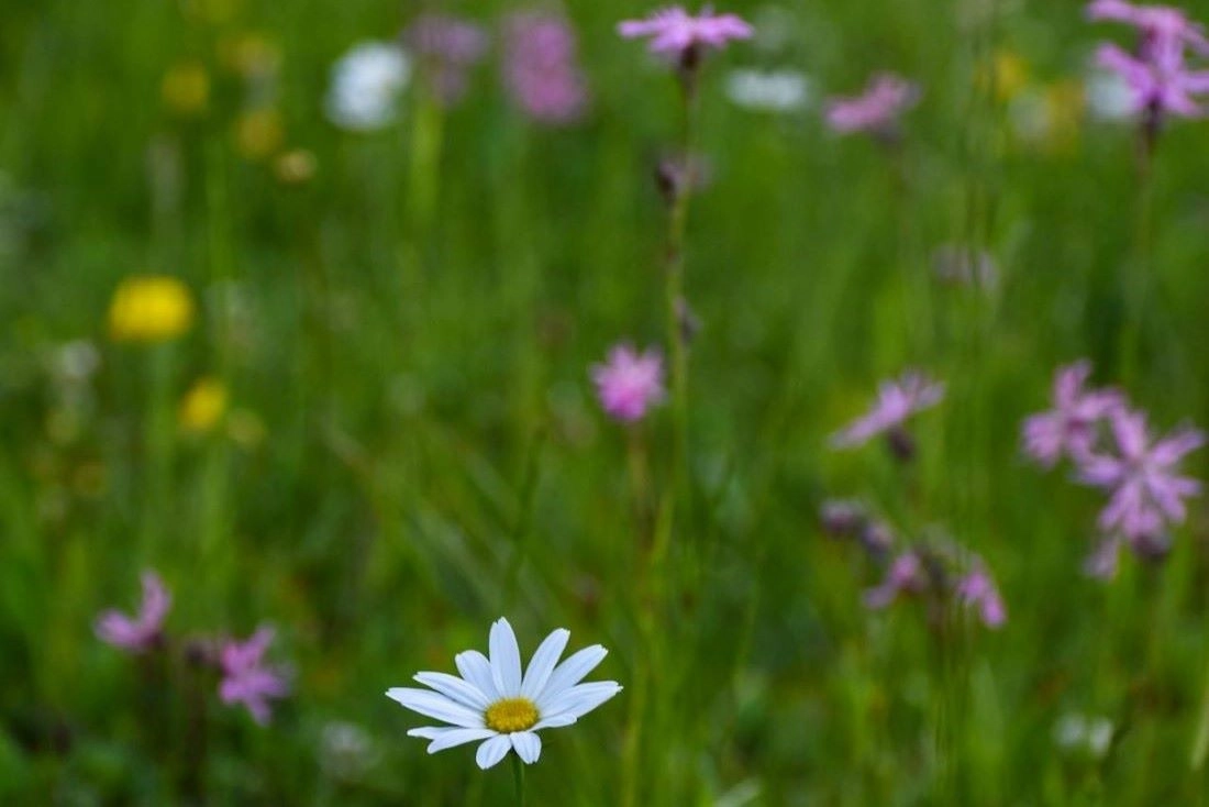 Мокрые выходные. О погоде на Гродненщине 26-28 июля