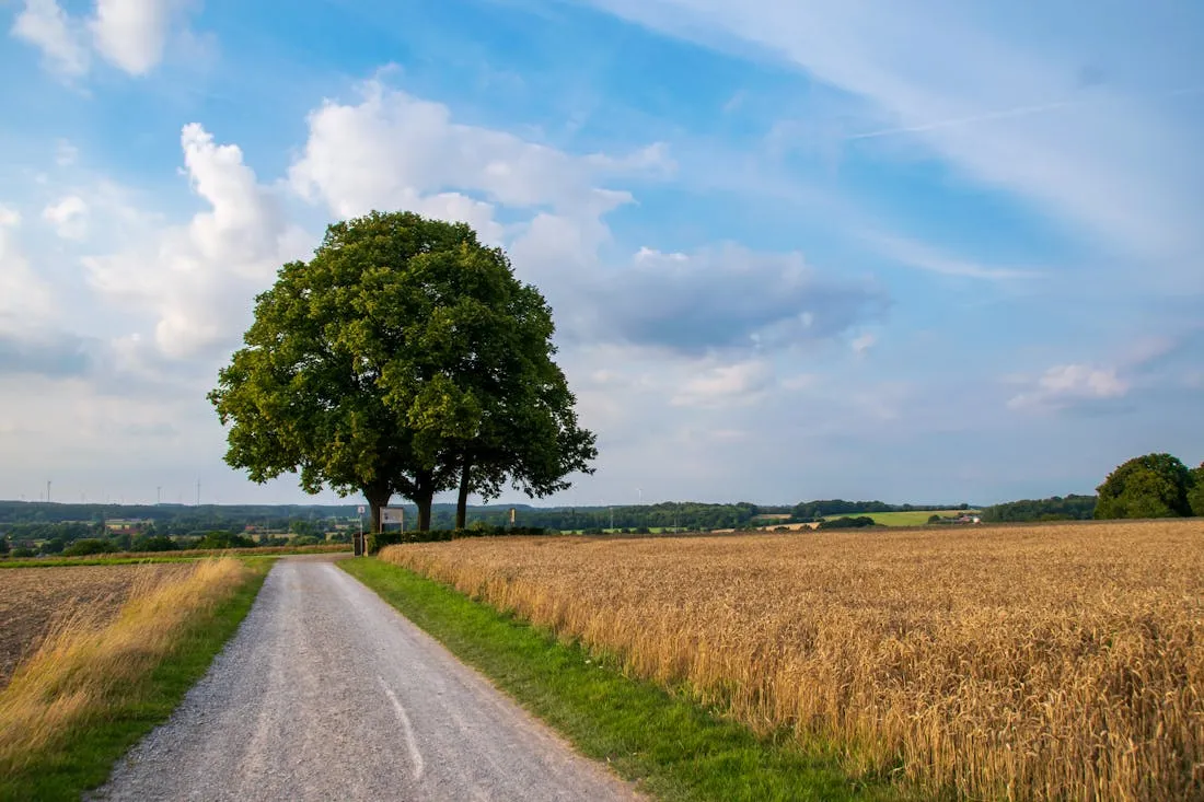 На Гродненщину устремилось тепло. О погоде 14-16 августа