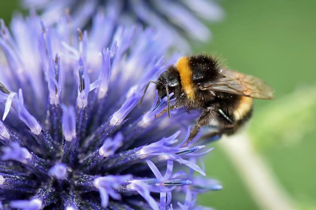 О погоде на Гродненщине 19-21 июля. Прогноз обещает грозовое небо