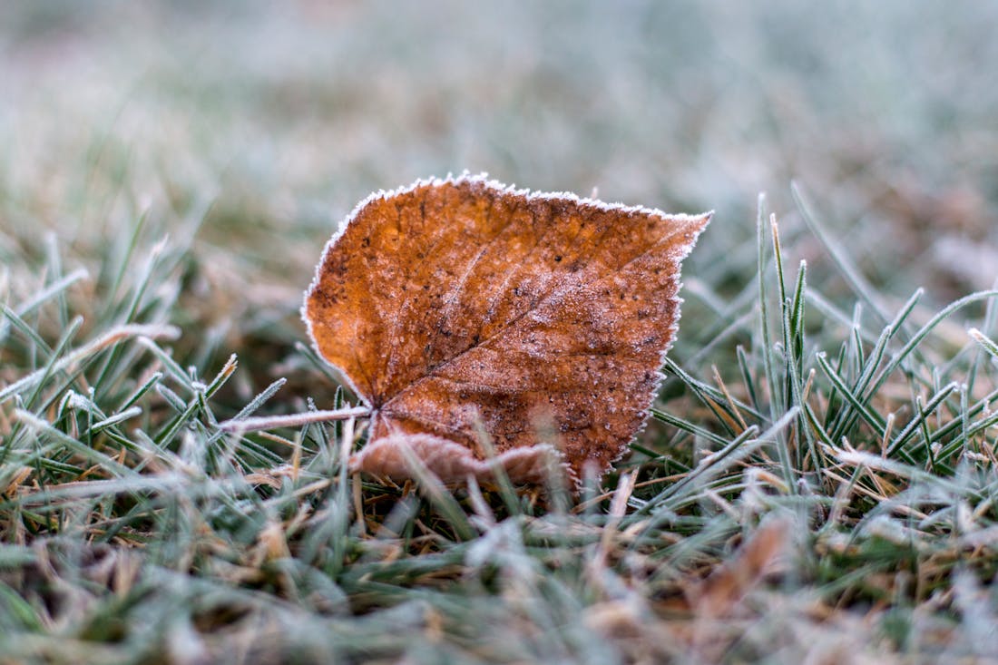 Опять заморозки: о погоде на Гродненщине с 29 сентября по 1 октября
