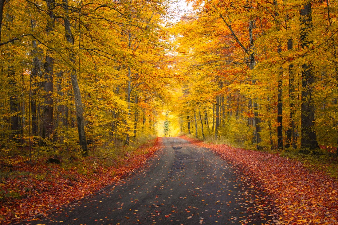 Погода на длинные выходные: прогноз для Гродненской области