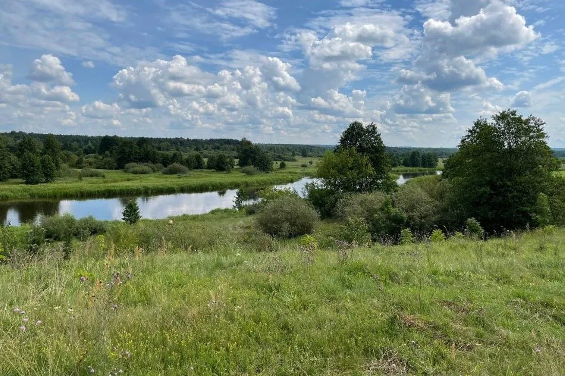 Погода на Гродненщине ухудшится, предупреждают синоптики
