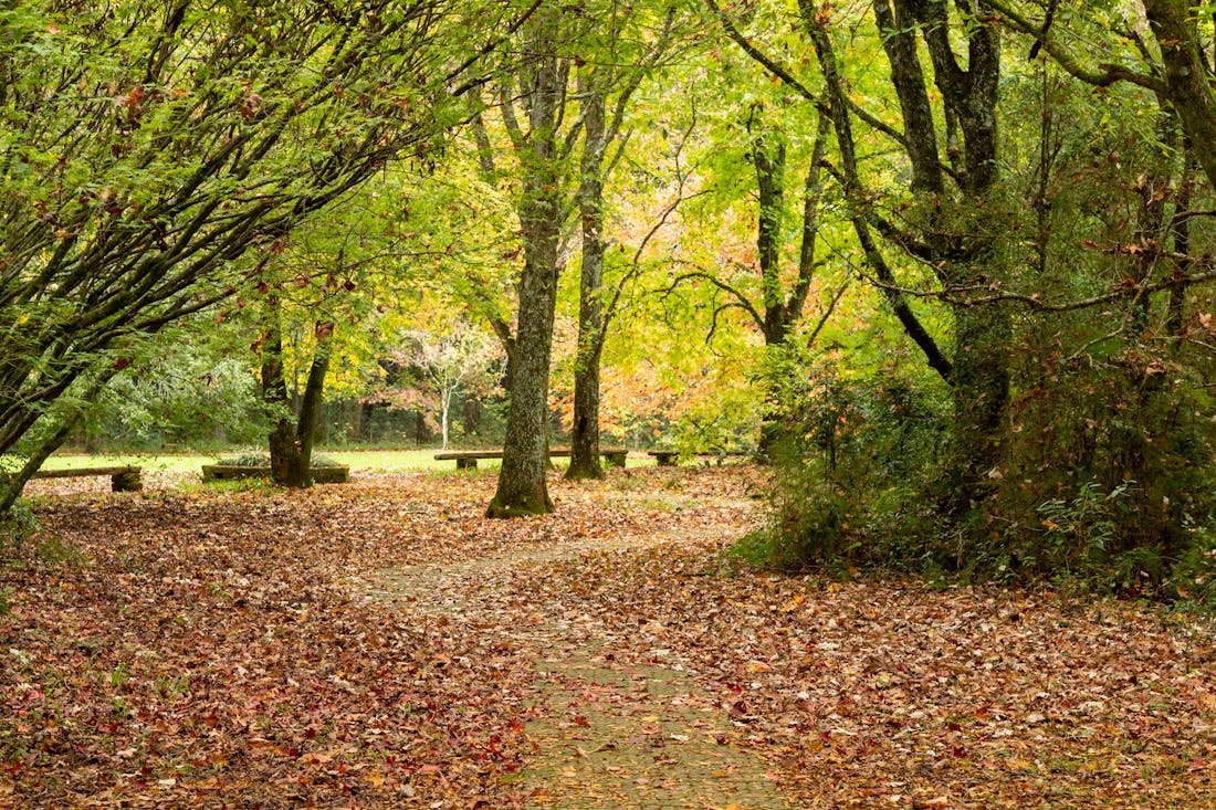 Похолодает. О погоде на Гродненщине 11-13 октября
