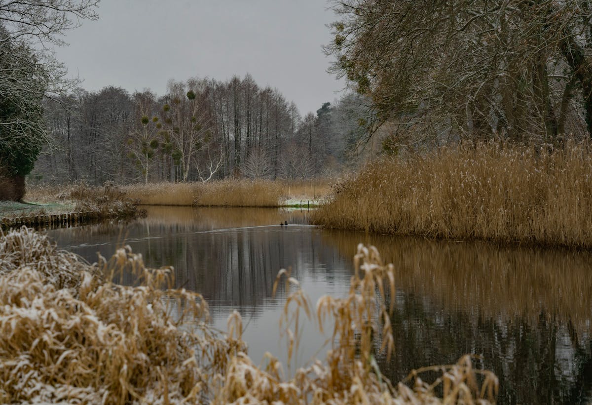 Поступает теплая влажная воздушная масса: о погоде на Гродненщине 4-6 декабря