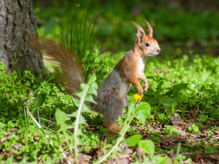 Когда попрощаемся с заморозками? О погоде в Гродненской области на 12-14 мая
