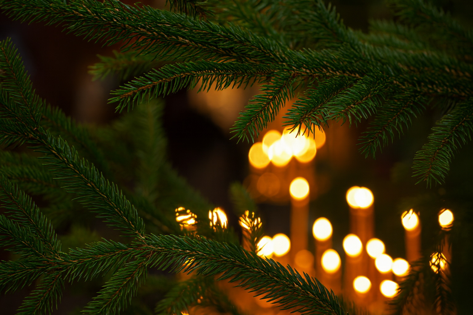 Рождественский пост начинается: что можно и чего нельзя делать с 28 ноября