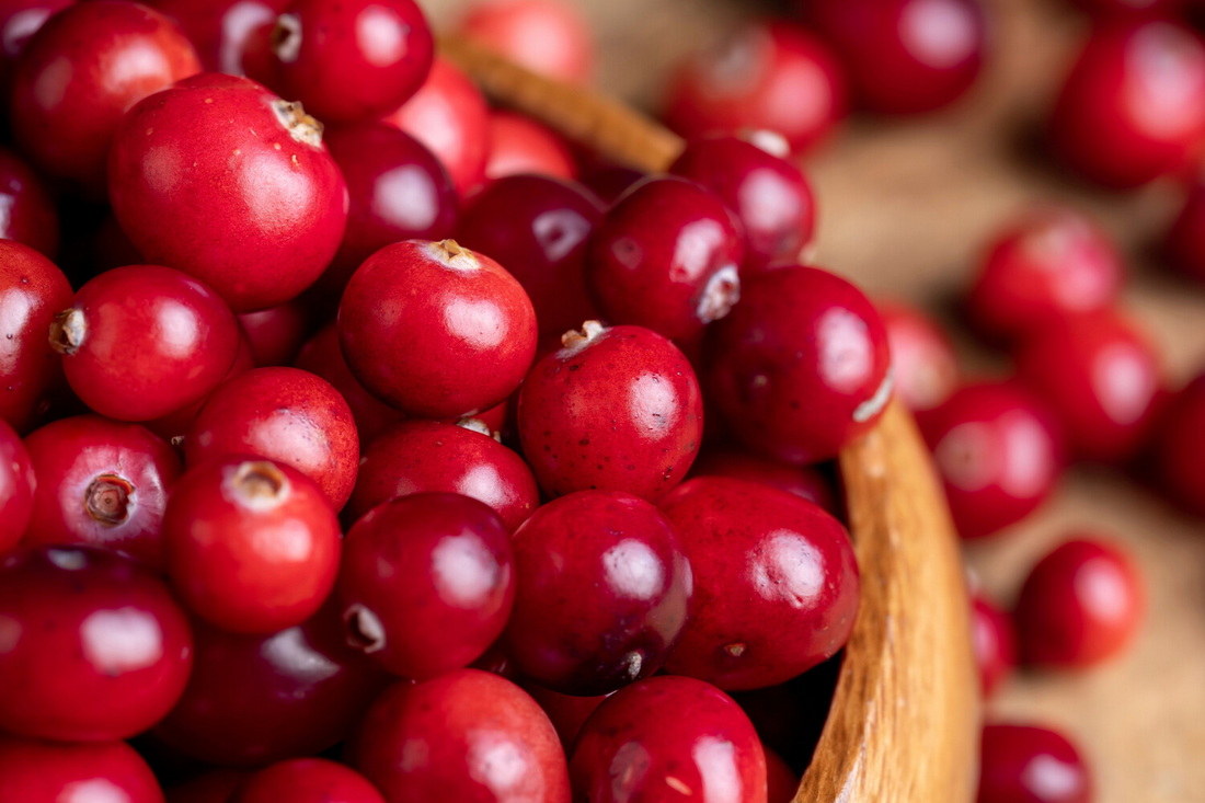 Секрет долголетия скрывается в маленькой красной ягоде