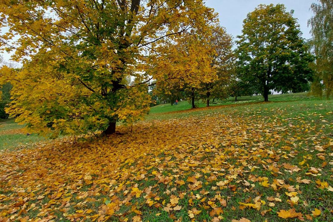 Сергий Радонежский: что можно и нельзя делать 8 октября