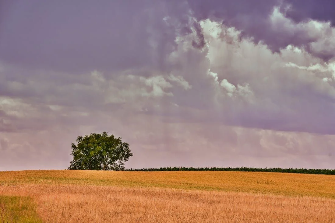 Шквалистый ветер и гроза. Погода на Гродненщине будет опасной
