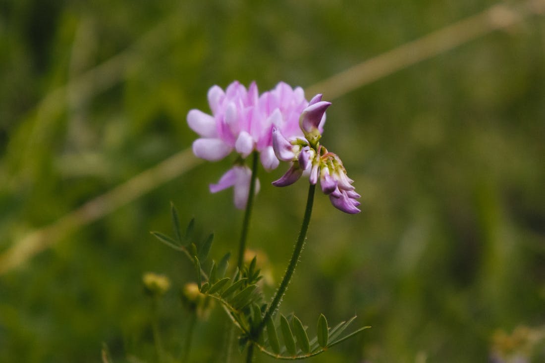 Сильный ветер пронесется над Гродненщиной: о погоде на 9-11 сентября