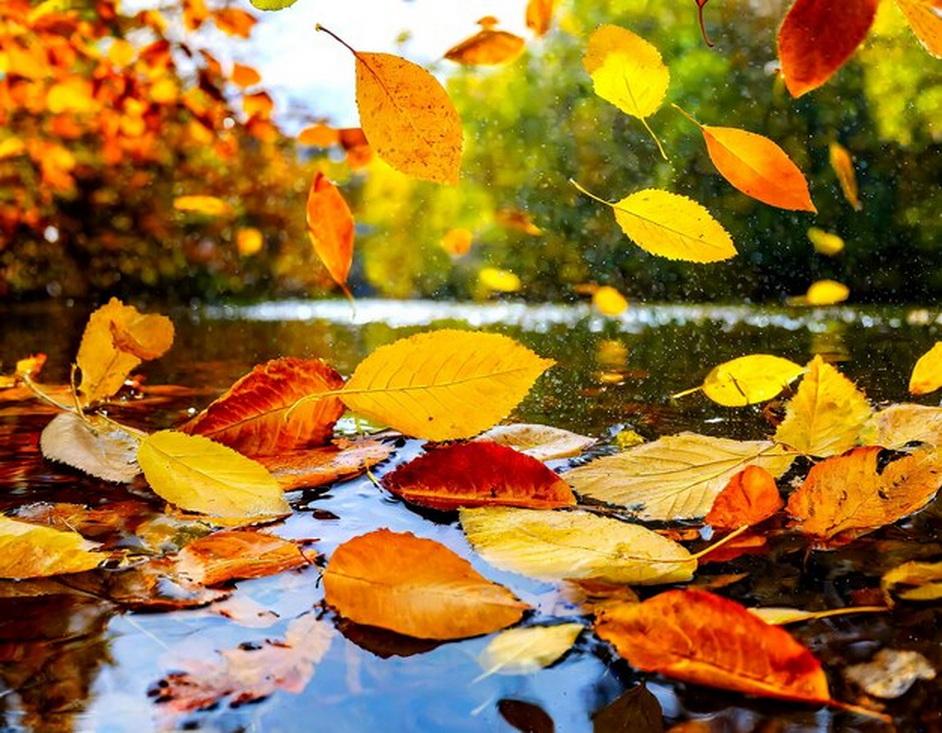 Синоптики предупреждают о сильных ливнях в Гродненской области на выходные