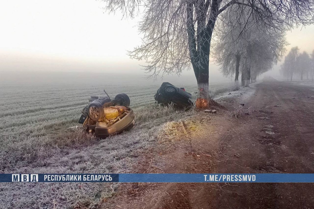 Смертельное ДТП на Гомельщине: автомобиль разорвало на части
