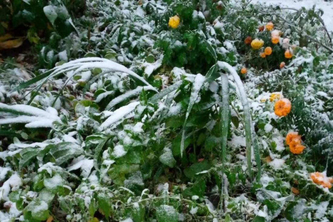 Снег 20 октября сулит раннюю зиму — к Матроне она вступит в свои права