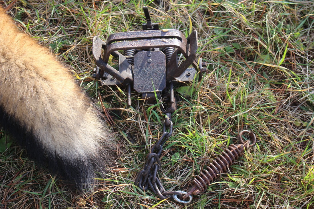 Спецмероприятие «Охота»: в Слониме напоминают об ответственности за браконьерство