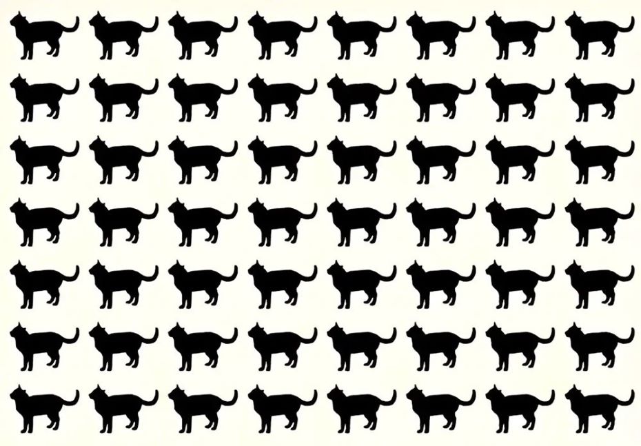 Тест на IQ: сможете ли вы найти непохожую на остальных кошку за 25 секунд?