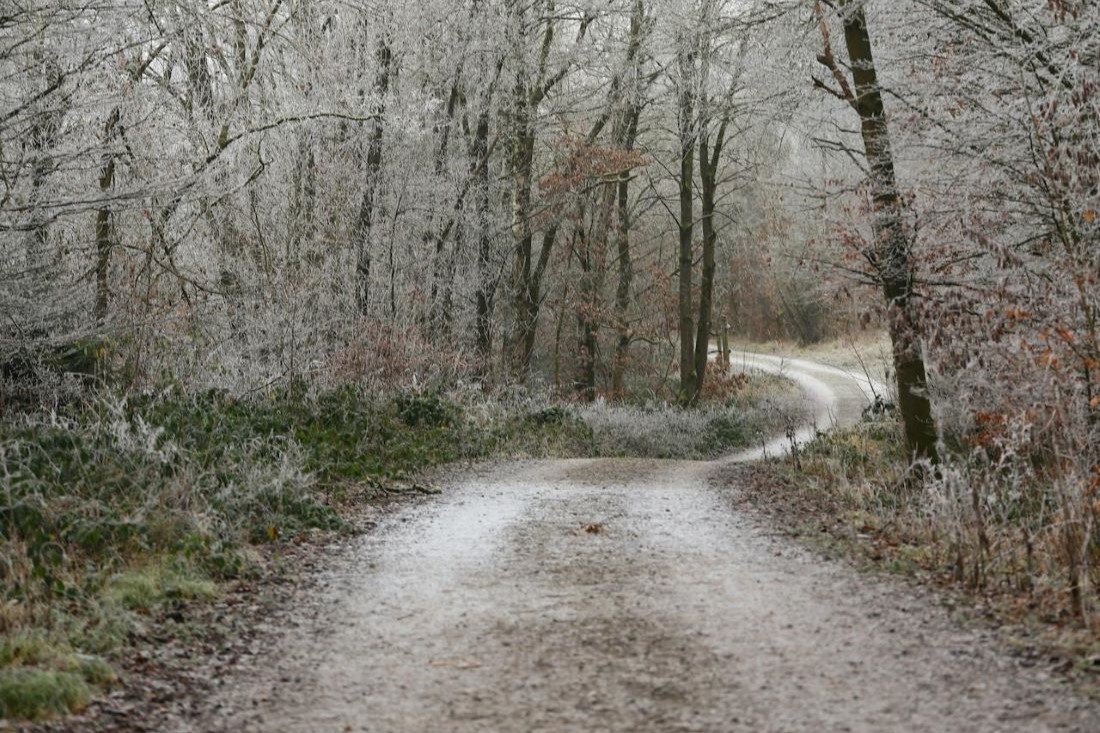 Утепляемся: резкая смена погоды на Гродненщине 22-24 ноября