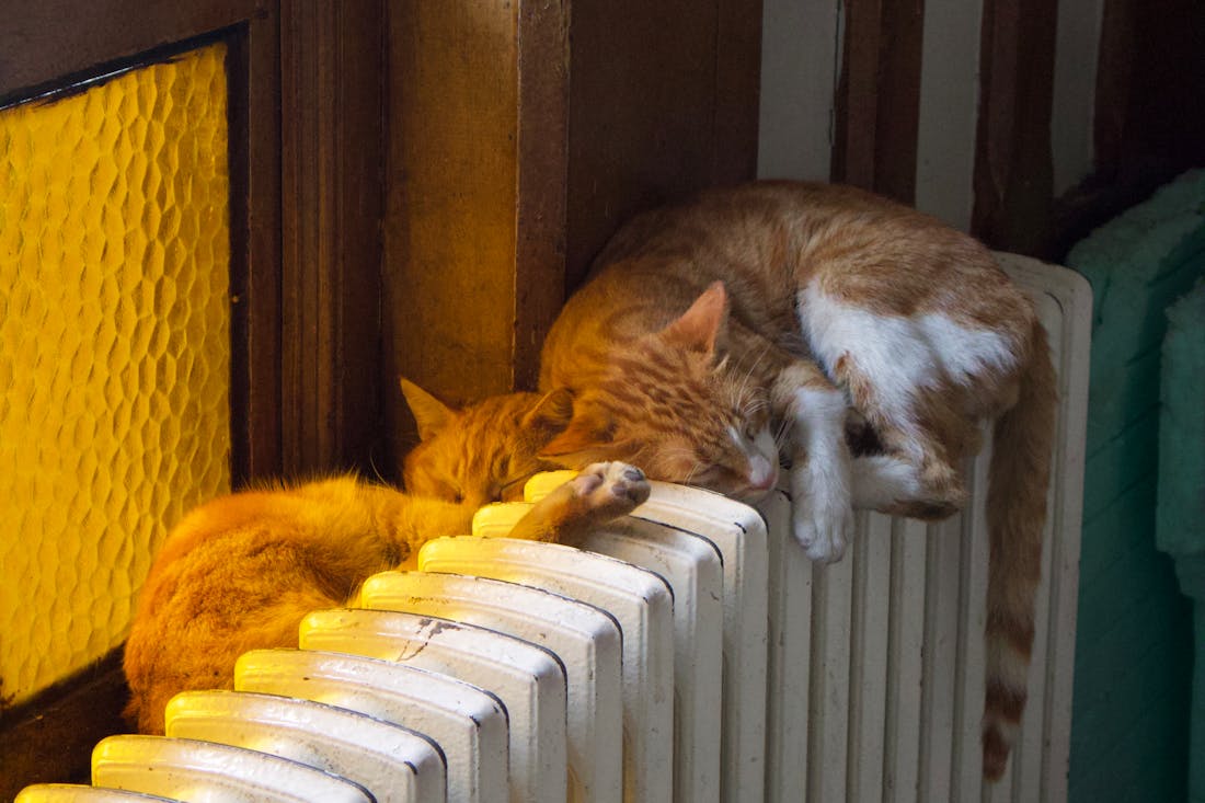 В Беларуси с 25 сентября начинают включать отопление: где станет теплее в квартирах уже сегодня