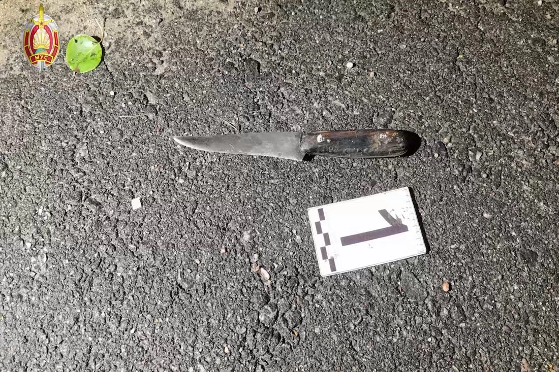 В Ганцевичском районе мужчину с ножом остановили выстрелом