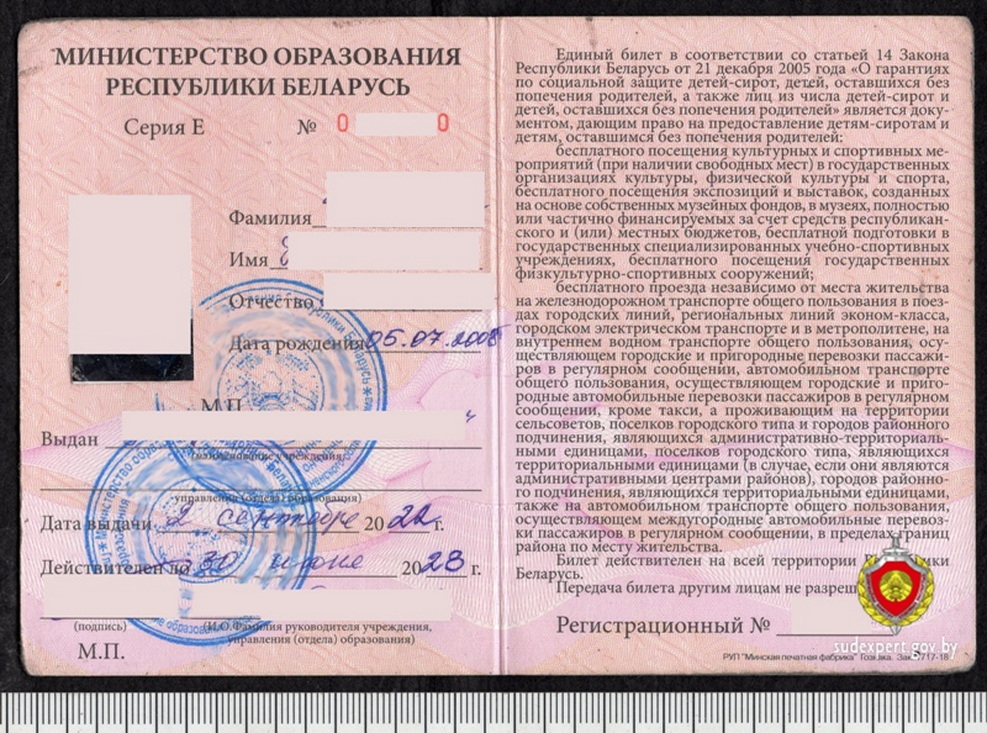 В Гродно молодой человек попытался «продлить» себе льготу, подделав документ