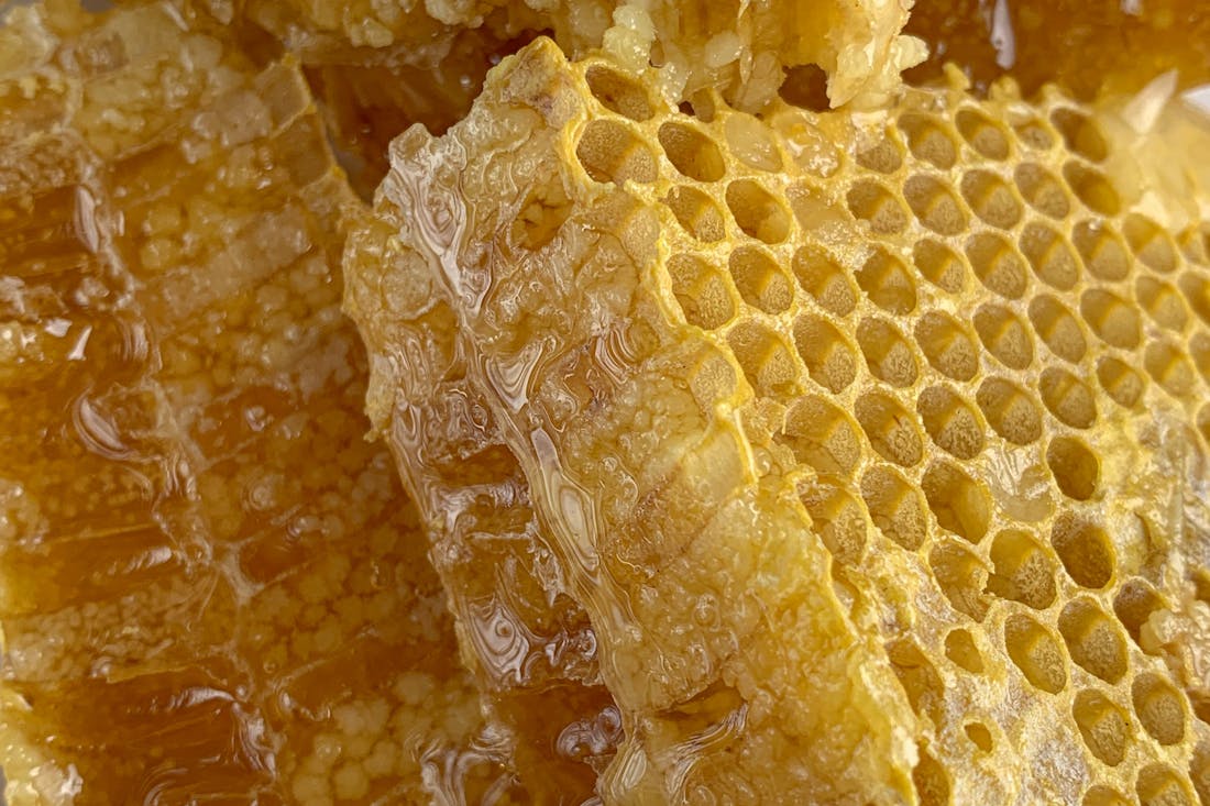 В каких лесхозах производят самый качественный мед