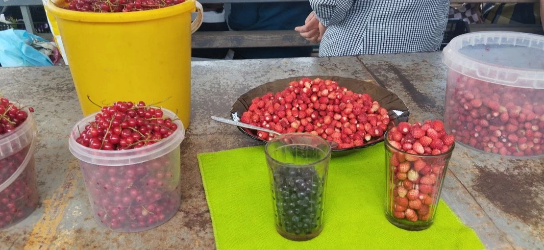 В Слониме на рынке продают чернику и землянику. Сколько стоят ягоды этим летом?