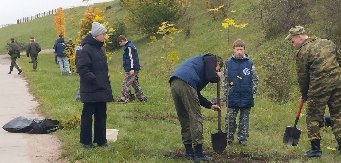 В Слониме прошёл «Единый день озеленения»: активисты высадили клёны на Аллее поколений