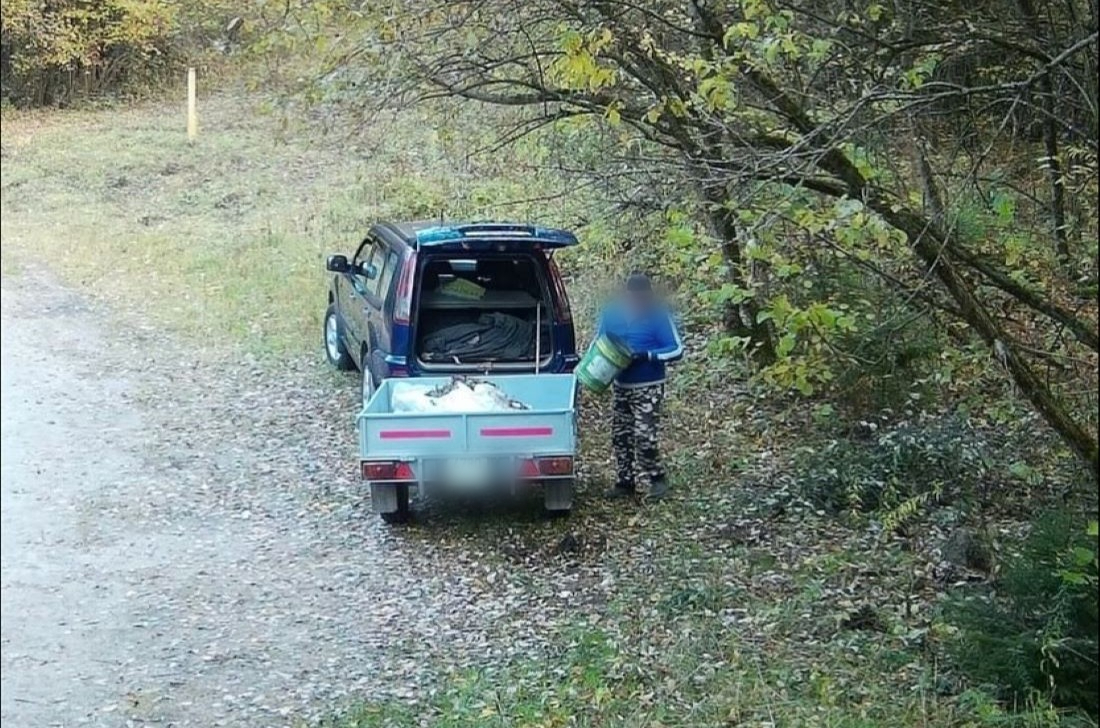 Вас снимают! Мужчина попался на камеру, когда выбрасывал мусор в слонимском лесу