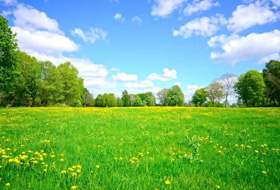 Юрьев день 6 мая. Что обязательно нужно сделать, чтобы год был удачным