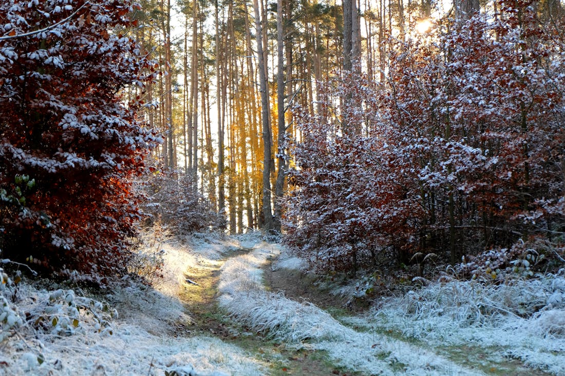 Заморозки до -5 градусов и гололедица. О погоде на Гродненщине 18-20 октября