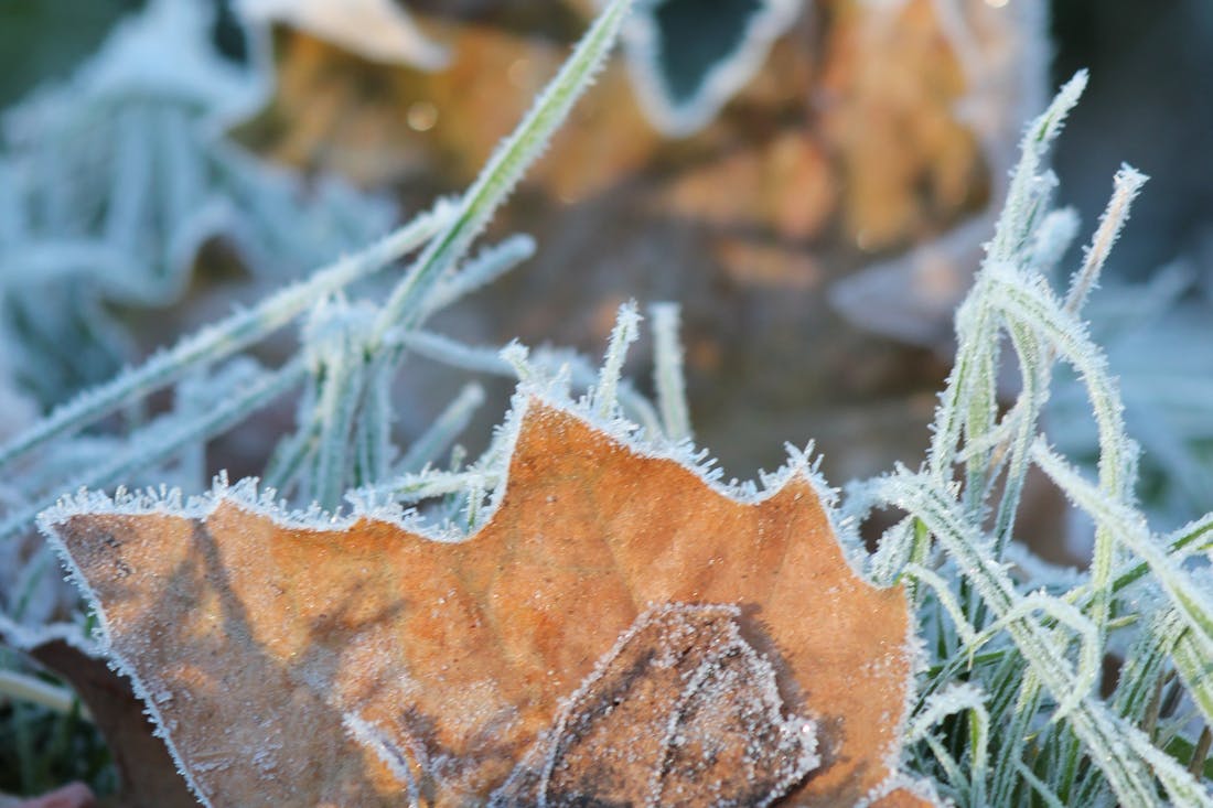 Заморозки до –5 градусов. О погоде на Гродненщине с 30 сентября по 2 октября