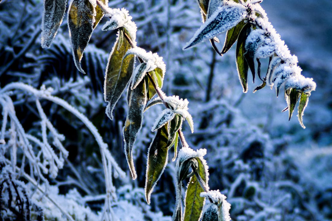 Заморозки не отступают. О погоде на Гродненщине 26-28 сентября