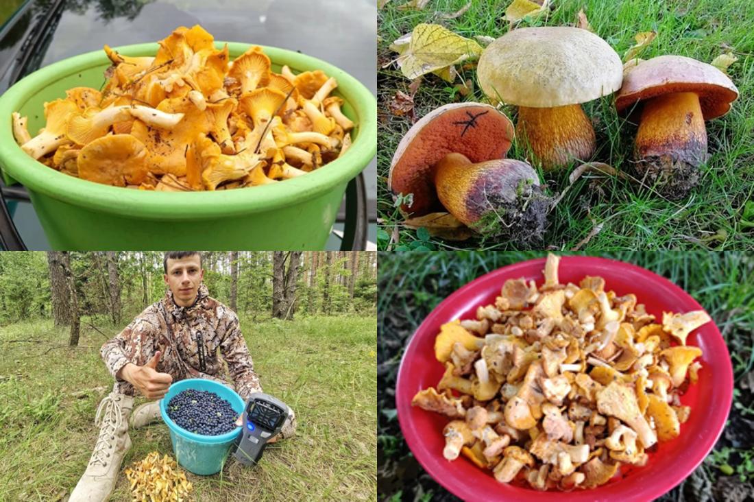 Ждали грибного бума после дождя? И он удивил всех