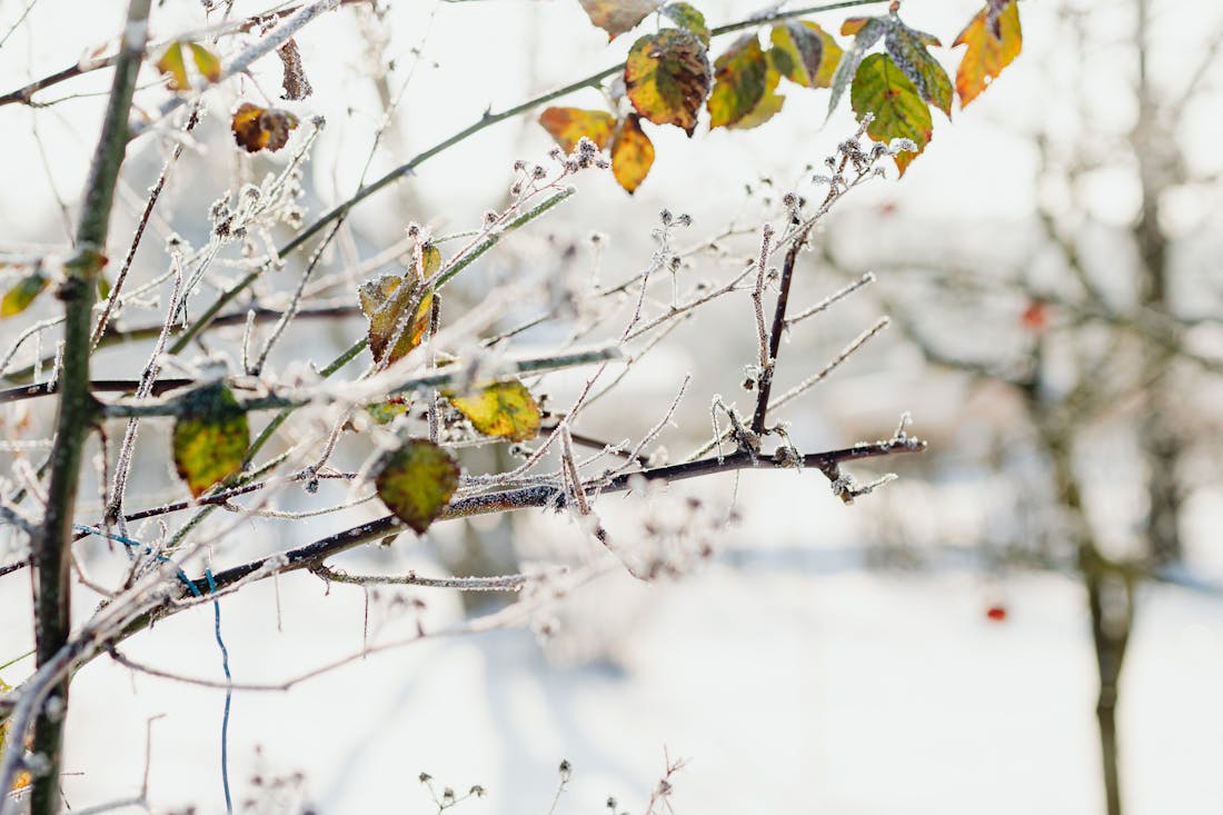 Ждем снега: о погоде на Гродненщине 12-14 октября