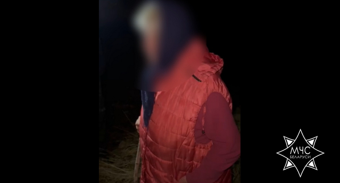 Женщина заблудилась в лесу возле деревни Корени: на помощь пришли спасатели