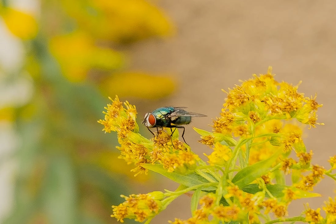 Зонтики отдыхают. О погоде на Гродненщине 12-14 августа