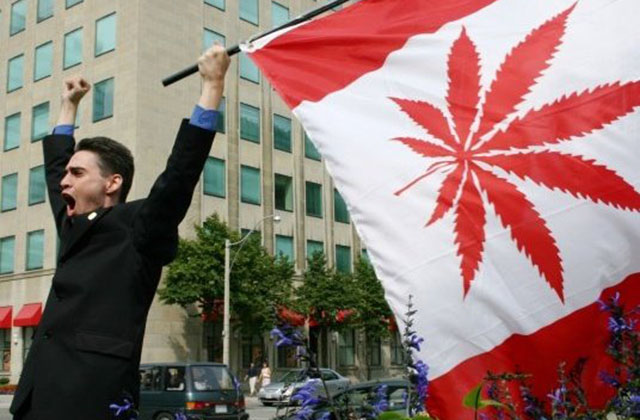 марихуана в канад